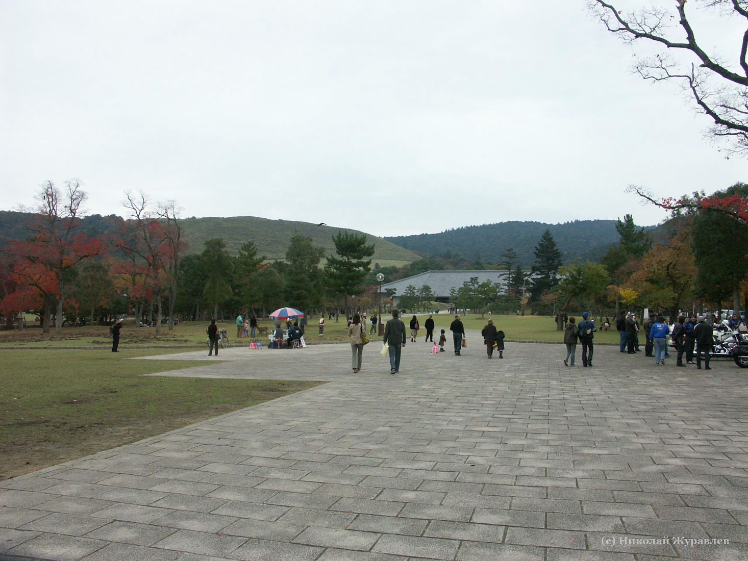 Парк города Нара в Японии