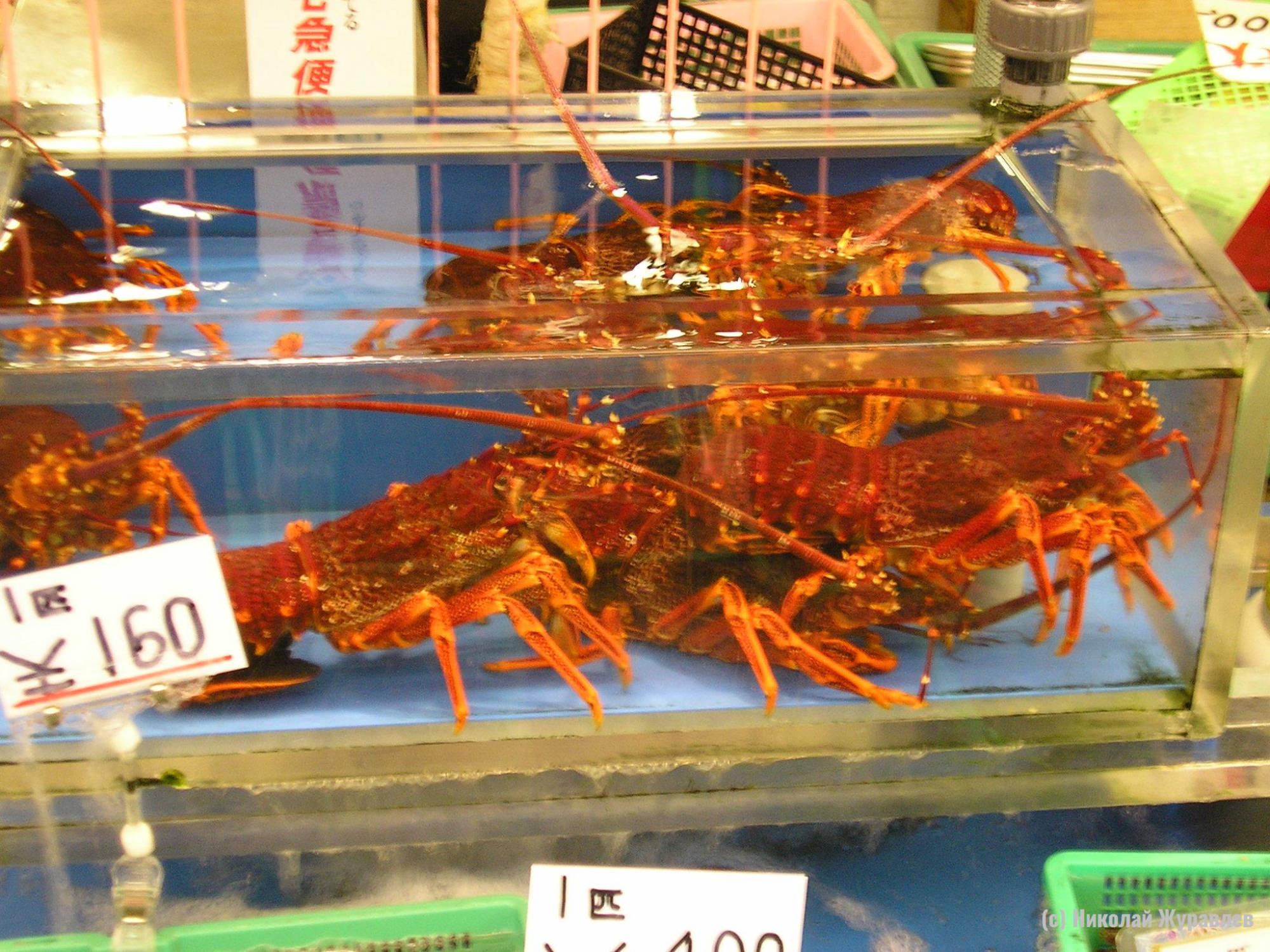 Омары на рыбном рынке в Осаке