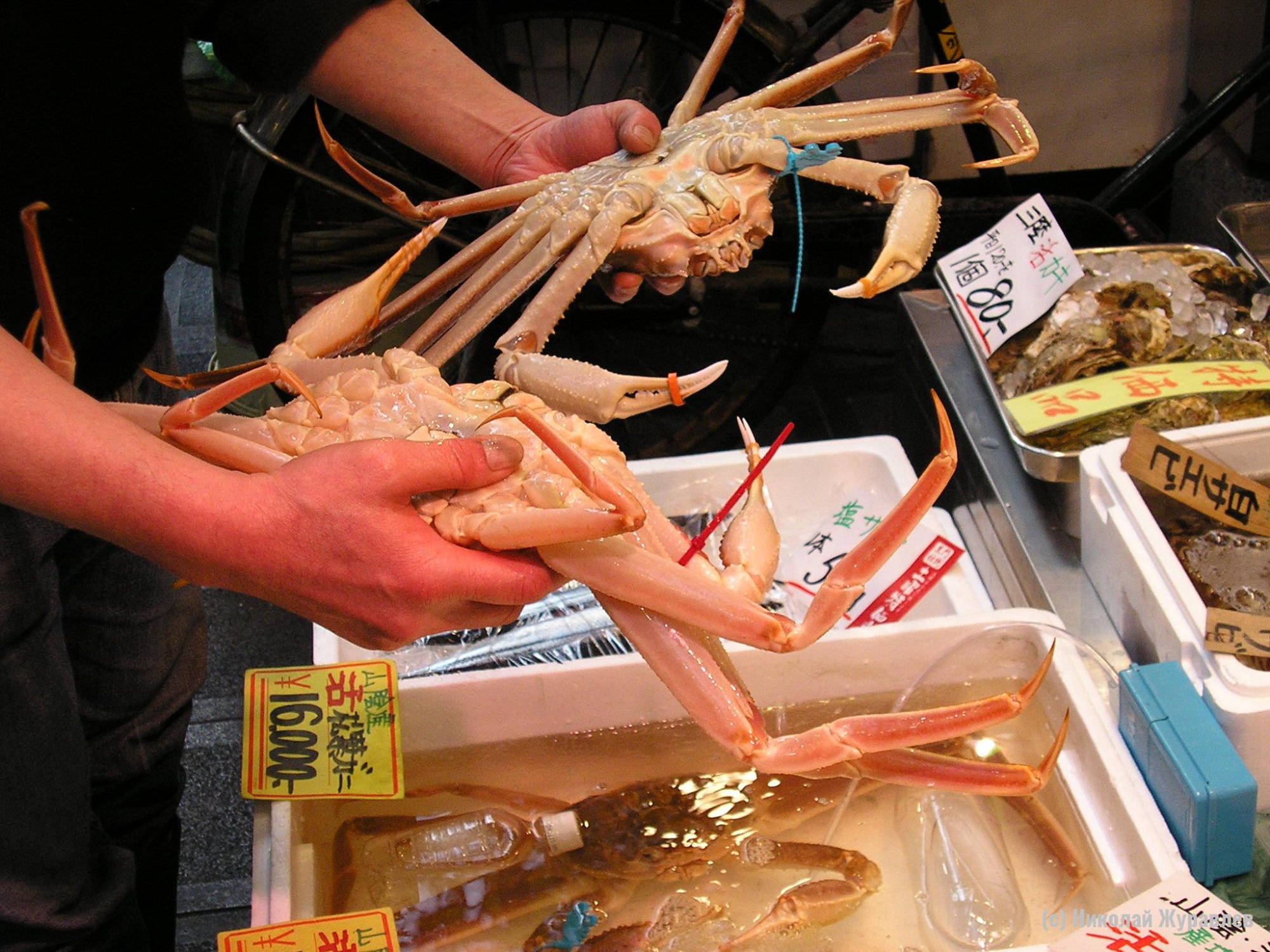 Крабы на рыбном рынке в Осаке