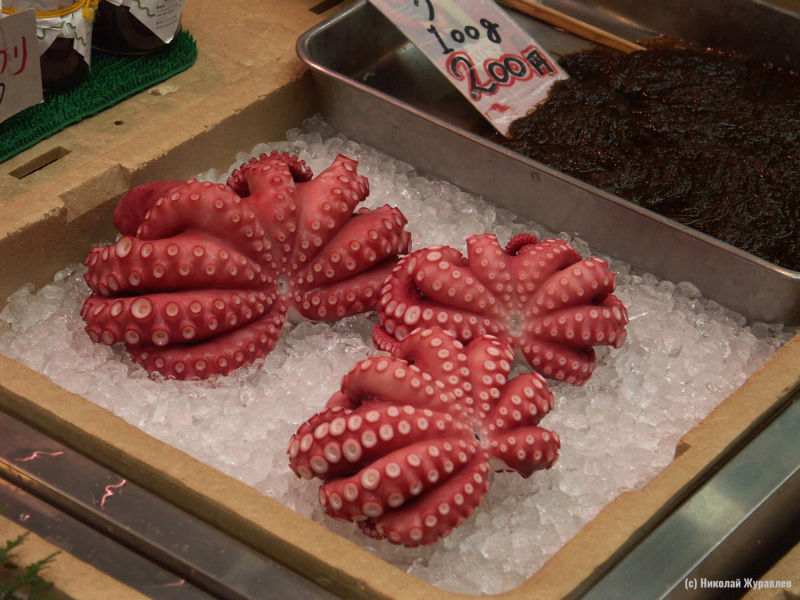 Осьминог на рыбном рынке в Осаке